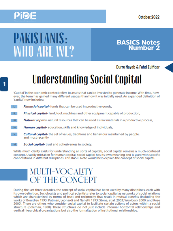 bn-02-understanding-social-capital