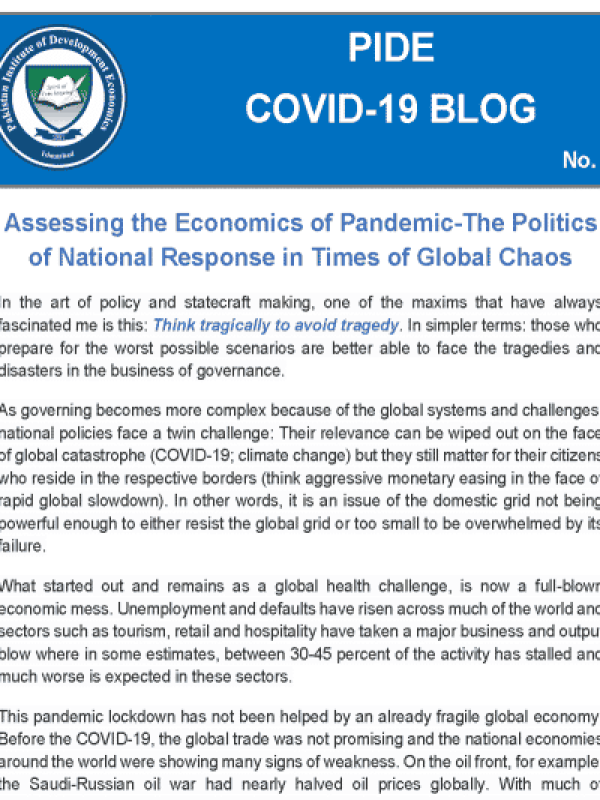cbg-019-assessing-the-economics-of-pandemic-the-politics-of-national-response-in-times-of-global-chaos-1