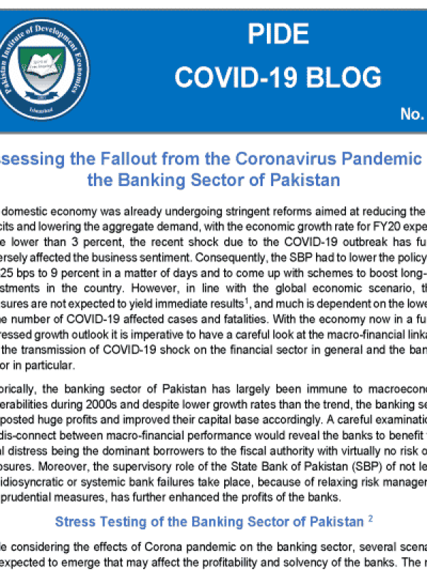cbg-030-assessing-the-fallout-from-the-coronavirus-pandemic-on-the-banking-sector-of-pakistan-1