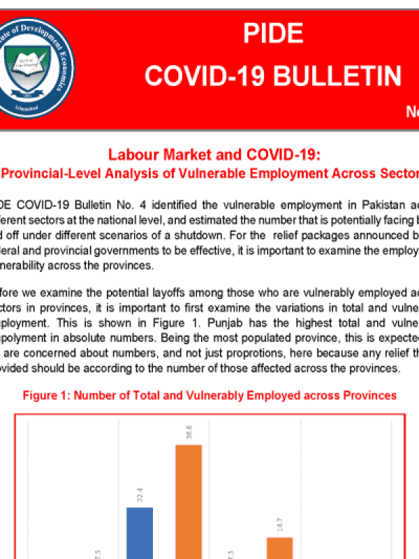 cbt-013-labour-market-and-covid-19-provincial-level-analysis-of-vulnerable-employment-across-sectors-1