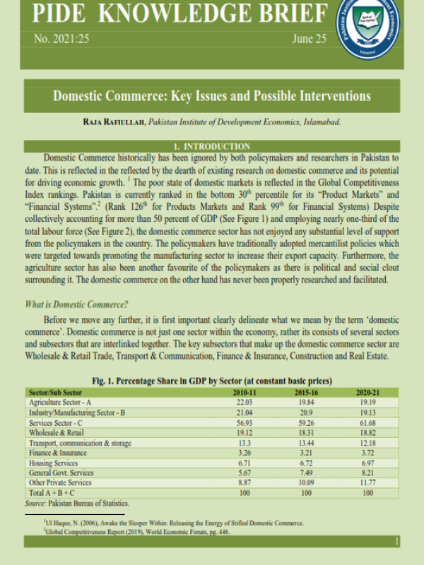 kb-025-domestic-commerce-key-issues-and-possible-interventions-1