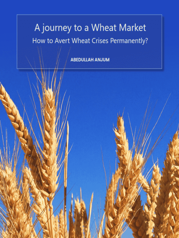 par-vol2i10-03-a-journey-to-a-wheat-market-how-to-avert-wheat-crises