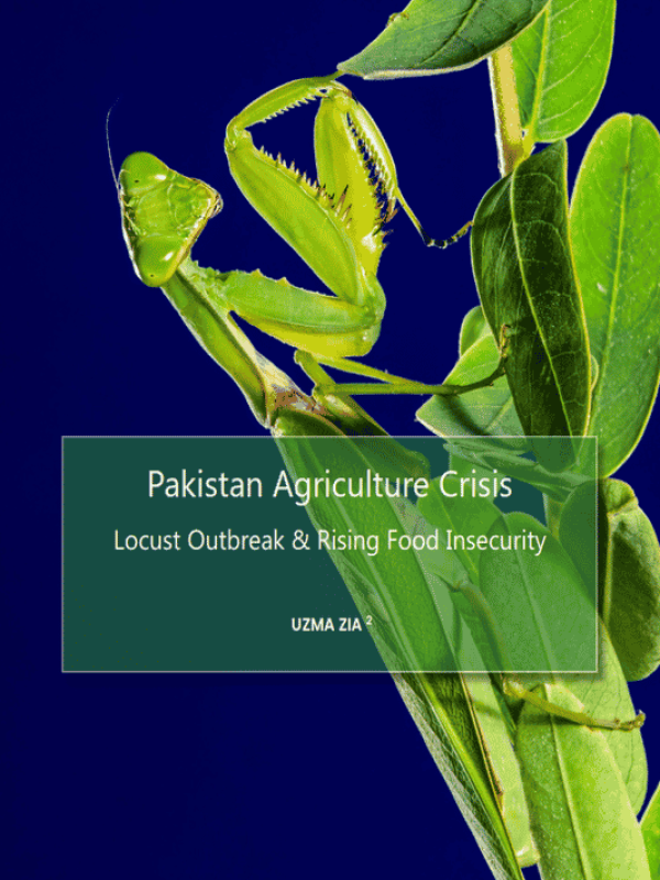 par-vol2i10-10-pakistan-agriculture-crisis-locust-outbreak