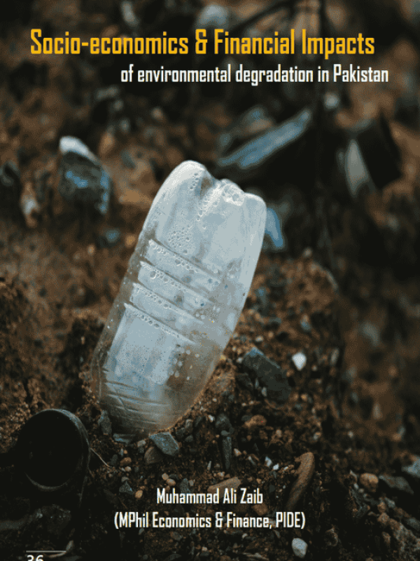 par-vol3i1-15-socioeconomic-and-financial-impacts-of-environmental-degradation-in-pakistan