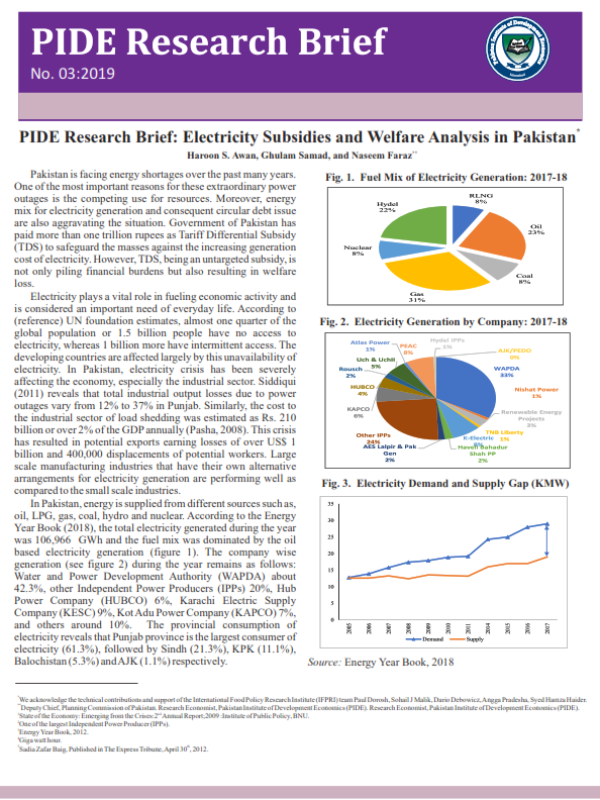 rb-03-electricity-subsidies-and-welfare-analysis-in-pakistan