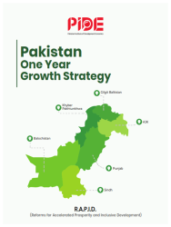 rr-051-pakistan-one-year-growth-strategy