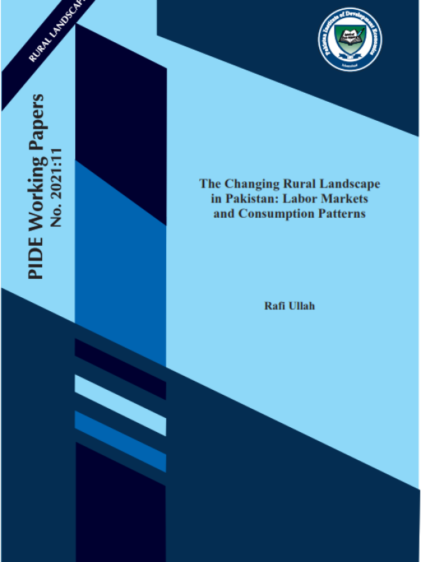 wb-0211-the-changing-rural-landscape-in-pakistan-labor-markets-and-consumption-patterns