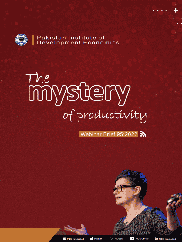 wb-117-the-mystery-of-productivity