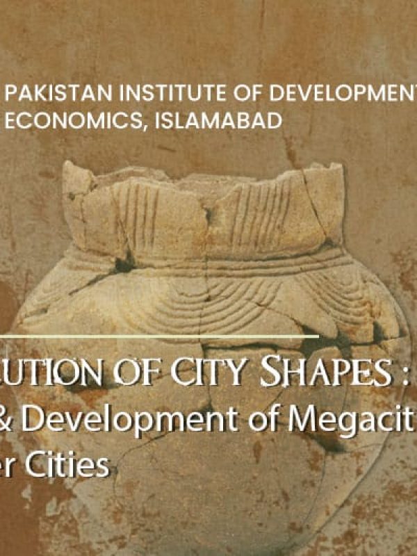 webinar-evolution-of-city-shapes-birth-and-development-of-mega-cities-and-cluster-cities