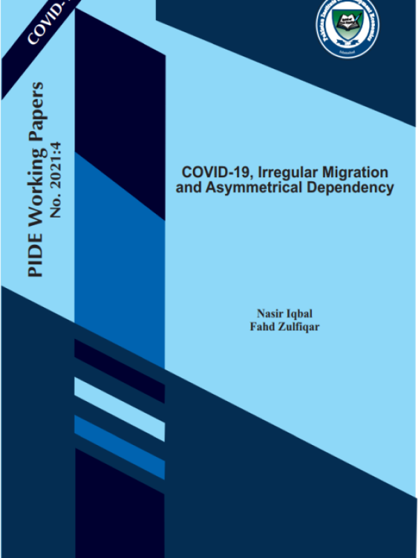 wp-0204-covid-19-irregular-migration-and-asymmetrical-dependency